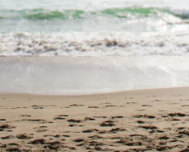 Short Walk to Beach